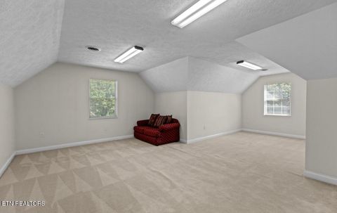 Tiny photo for 2041 Witt Rd, White Pine, TN 37890 (MLS # 1323597)