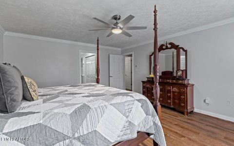 Tiny photo for 2041 Witt Rd, White Pine, TN 37890 (MLS # 1323597)