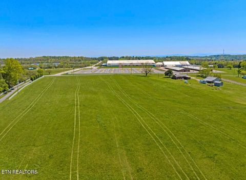 Tiny photo for 2041 Witt Rd, White Pine, TN 37890 (MLS # 1323597)