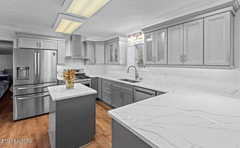 Tiny photo for 2041 Witt Rd, White Pine, TN 37890 (MLS # 1323597)