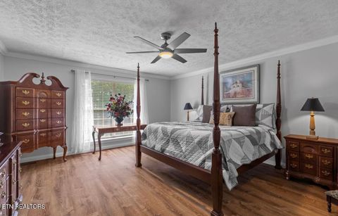 Tiny photo for 2041 Witt Rd, White Pine, TN 37890 (MLS # 1323597)