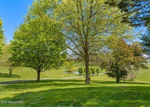 Tiny photo for 2041 Witt Rd, White Pine, TN 37890 (MLS # 1323597)