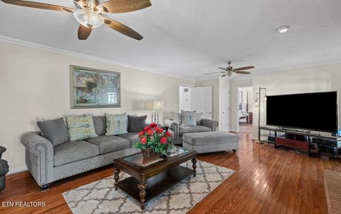 Tiny photo for 2041 Witt Rd, White Pine, TN 37890 (MLS # 1323597)