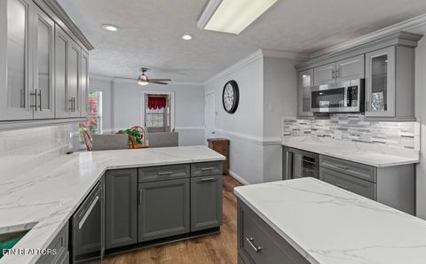 Tiny photo for 2041 Witt Rd, White Pine, TN 37890 (MLS # 1323597)