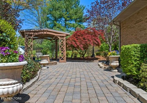 Tiny photo for 2041 Witt Rd, White Pine, TN 37890 (MLS # 1323597)