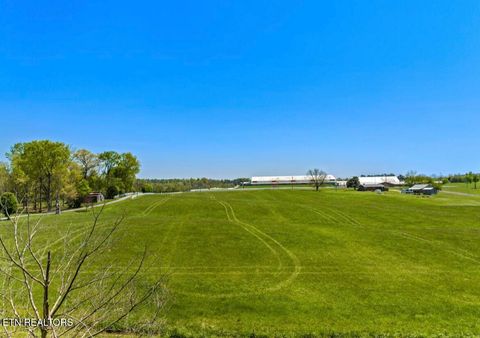 Tiny photo for 2041 Witt Rd, White Pine, TN 37890 (MLS # 1323597)