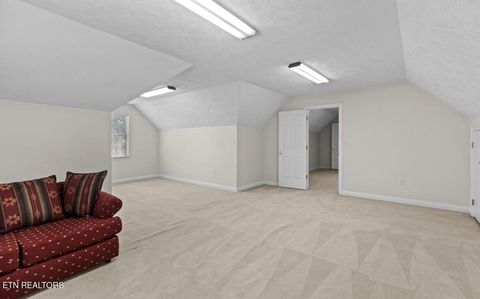 Tiny photo for 2041 Witt Rd, White Pine, TN 37890 (MLS # 1323597)