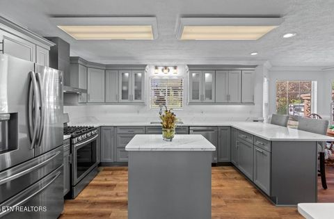 Tiny photo for 2041 Witt Rd, White Pine, TN 37890 (MLS # 1323597)