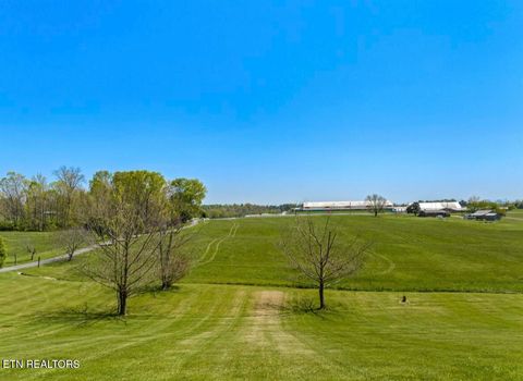 Tiny photo for 2041 Witt Rd, White Pine, TN 37890 (MLS # 1323597)