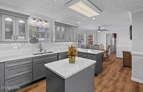 Tiny photo for 2041 Witt Rd, White Pine, TN 37890 (MLS # 1323597)