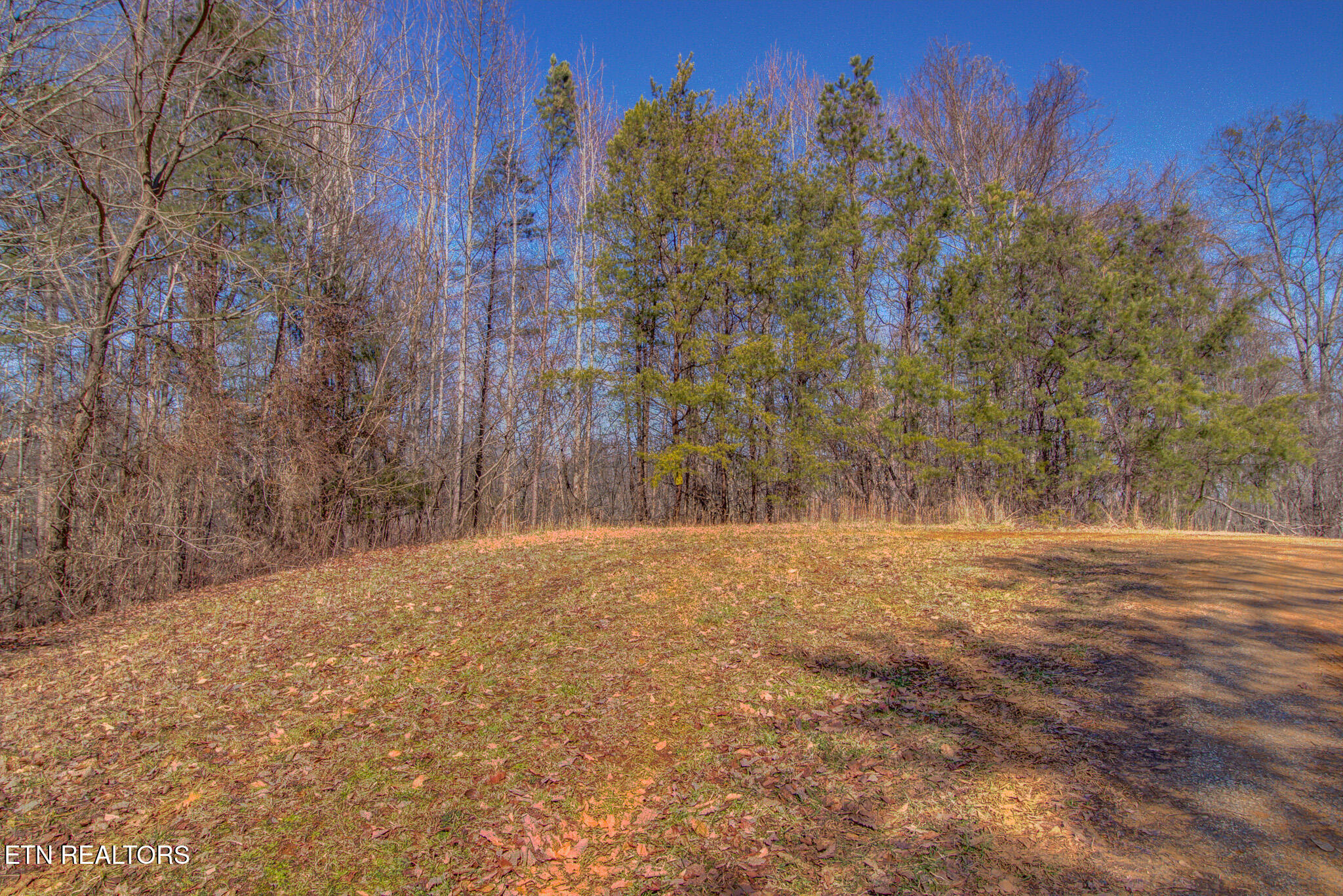 4585 Crooked Creek Way Lot 3