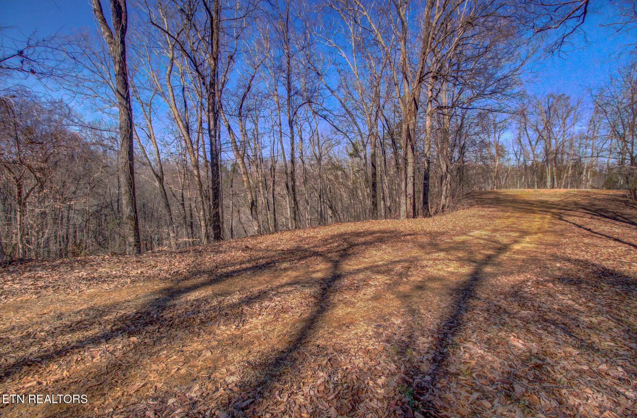 4585 Crooked Creek Way Lot 3