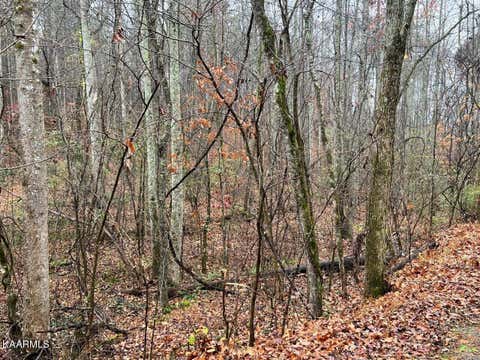 Tiny photo for 6 Butler Rd, Decatur, TN 37322 (MLS # 1211202)