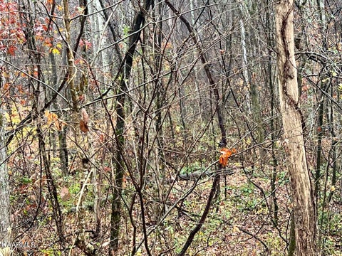 Tiny photo for 6 Butler Rd, Decatur, TN 37322 (MLS # 1211202)