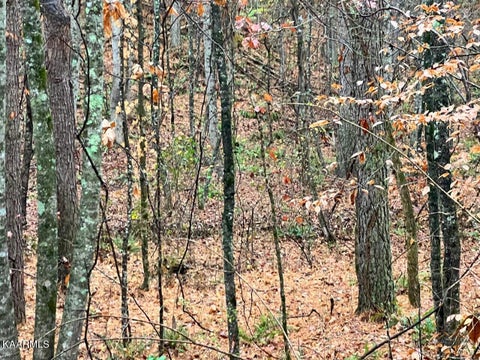 Tiny photo for 6 Butler Rd, Decatur, TN 37322 (MLS # 1211202)