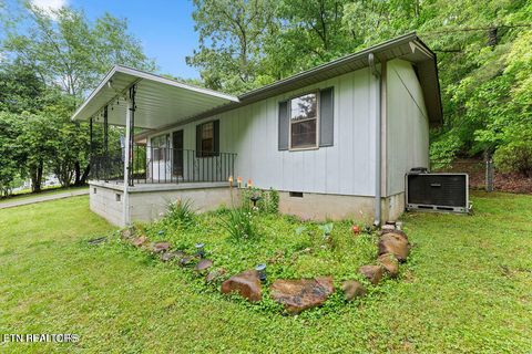 Photo of 155 deloizer Lane, Rockwood, TN 37854 (MLS # 1319544)