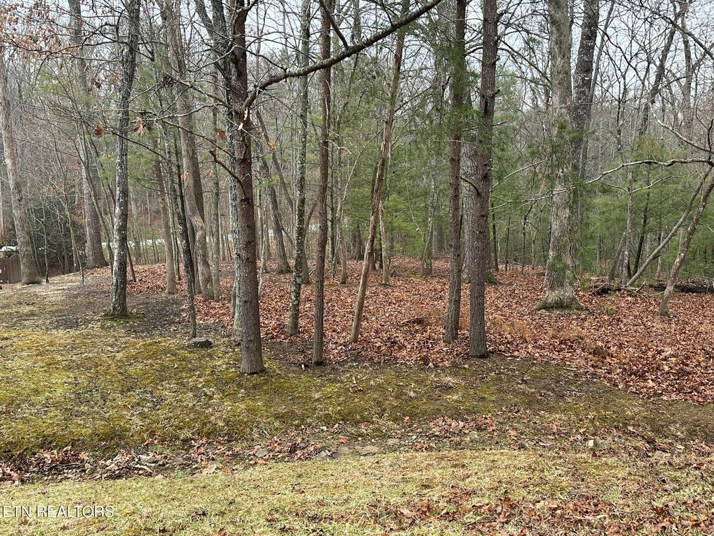 Photo of 30 Clason Point, Fairfield Glade, TN 38558 (MLS # 1328391)