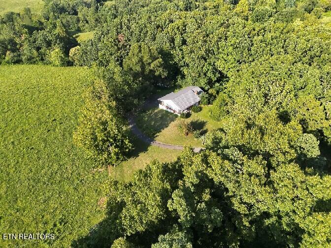 536 Ted Brooks Rd