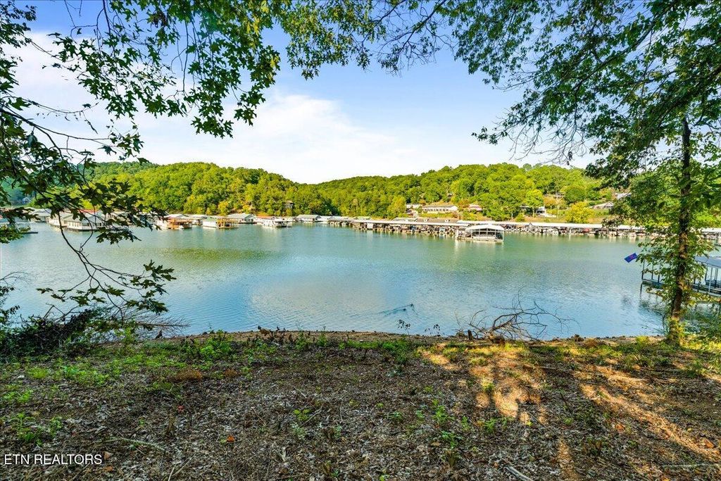 Photo of 0 Lakesprings Drive, LaFollette, TN 37766 (MLS # 1315301)
