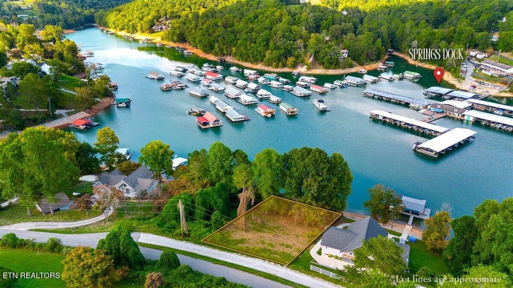 Photo of 0 Lakesprings Drive, LaFollette, TN 37766 (MLS # 1315301)