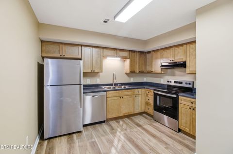 Tiny photo for 347 Ritz View Drive #A and B, Blaine, TN 37709 (MLS # 1347463)