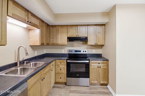 Tiny photo for 347 Ritz View Drive #A and B, Blaine, TN 37709 (MLS # 1347463)
