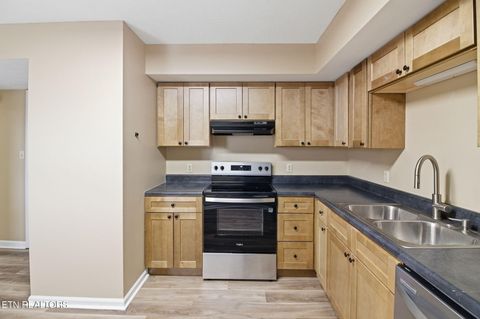 Tiny photo for 347 Ritz View Drive #A and B, Blaine, TN 37709 (MLS # 1347463)