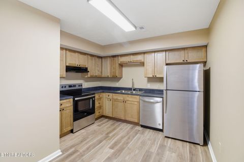 Tiny photo for 347 Ritz View Drive #A and B, Blaine, TN 37709 (MLS # 1347463)