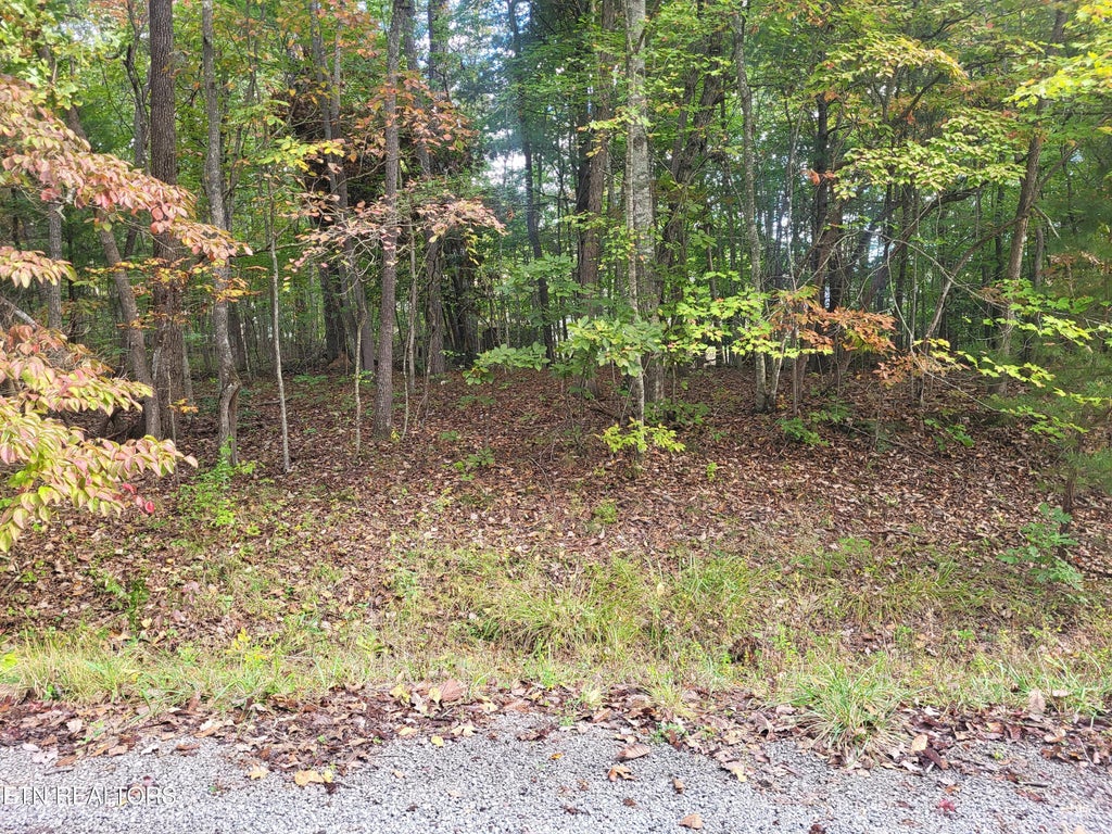 Photo of 15 Appleby Court, Crossville, TN 38558 (MLS # 1358767)