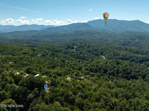 Tiny photo for 1126 E Foothills Drive, Gatlinburg, TN 37738 (MLS # 1355832)