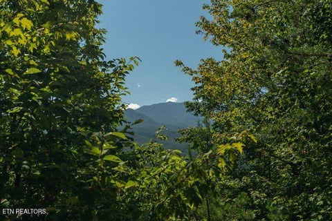 Tiny photo for 1126 E Foothills Drive, Gatlinburg, TN 37738 (MLS # 1355832)