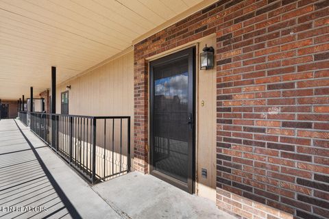 Photo of 509 11th St #4002, Knoxville, TN 37916 (MLS # 1332073)