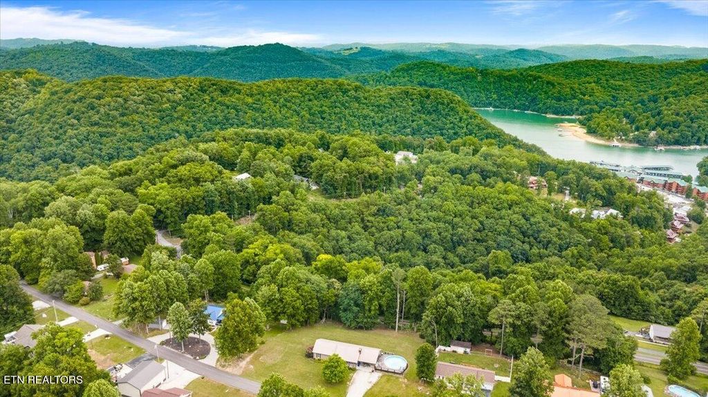 Photo of 168 Lakemont Lane, Caryville, TN 37714 (MLS # 1345709)