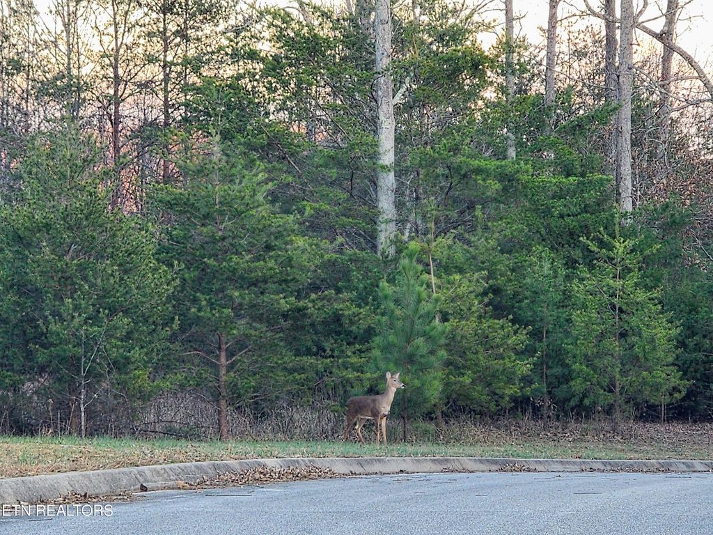 Photo of Melea Lane, Kingston, TN 37763 (MLS # 1311068)