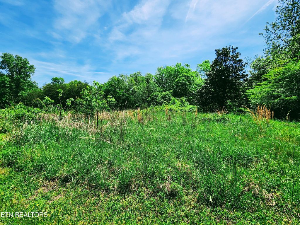 Photo of Melea Lane, Kingston, TN 37763 (MLS # 1311068)