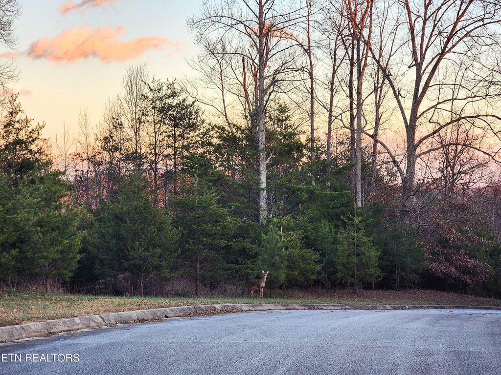 Photo of Melea Lane, Kingston, TN 37763 (MLS # 1311068)