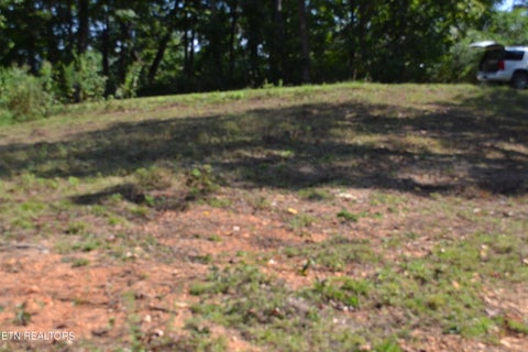 Tiny photo for 2376 Pea Ridge Fire Tower Rd, Celina, TN 38551 (MLS # 1355047)