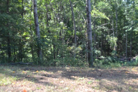 Tiny photo for 2376 Pea Ridge Fire Tower Rd, Celina, TN 38551 (MLS # 1355047)