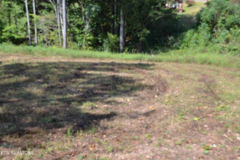 Tiny photo for 2376 Pea Ridge Fire Tower Rd, Celina, TN 38551 (MLS # 1355047)