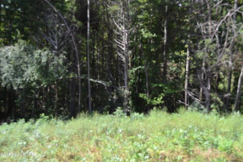 Tiny photo for 2376 Pea Ridge Fire Tower Rd, Celina, TN 38551 (MLS # 1355047)