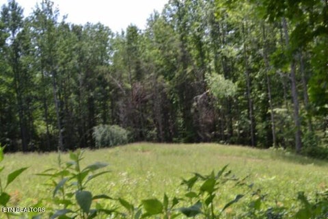 Tiny photo for 2376 Pea Ridge Fire Tower Rd, Celina, TN 38551 (MLS # 1355047)