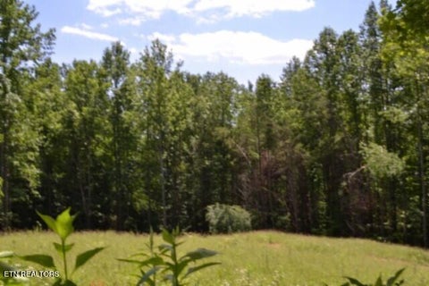 Tiny photo for 2376 Pea Ridge Fire Tower Rd, Celina, TN 38551 (MLS # 1355047)