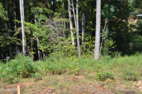 Tiny photo for 2376 Pea Ridge Fire Tower Rd, Celina, TN 38551 (MLS # 1355047)
