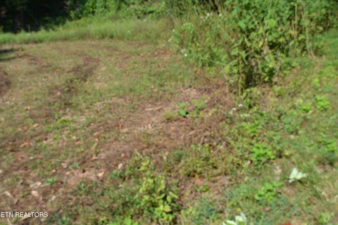 Tiny photo for 2376 Pea Ridge Fire Tower Rd, Celina, TN 38551 (MLS # 1355047)