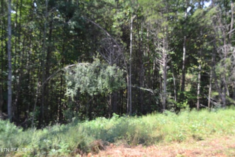 Tiny photo for 2376 Pea Ridge Fire Tower Rd, Celina, TN 38551 (MLS # 1355047)