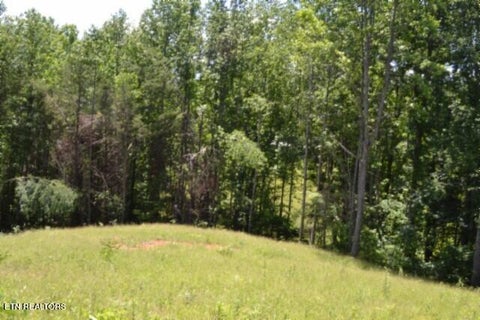 Tiny photo for 2376 Pea Ridge Fire Tower Rd, Celina, TN 38551 (MLS # 1355047)