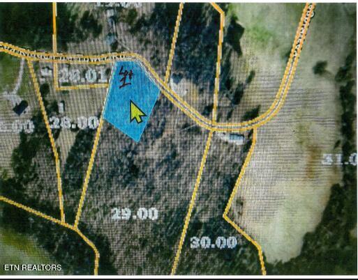 Photo of 2376 Pea Ridge Fire Tower Rd, Celina, TN 38551 (MLS # 1355047)