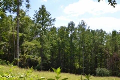 Tiny photo for 2376 Pea Ridge Fire Tower Rd, Celina, TN 38551 (MLS # 1355047)
