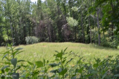 Tiny photo for 2376 Pea Ridge Fire Tower Rd, Celina, TN 38551 (MLS # 1355047)