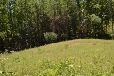 Tiny photo for 2376 Pea Ridge Fire Tower Rd, Celina, TN 38551 (MLS # 1355047)